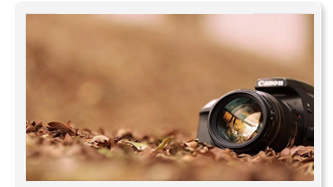 �W(w��ng)վ�O(sh��)Ӌ(j��)�������p